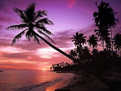Image for Travel moon sunset photograph